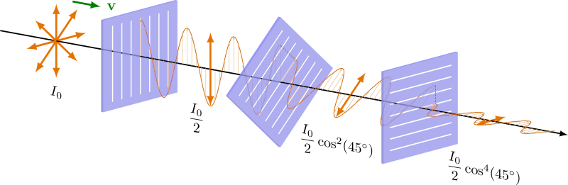 Polarization