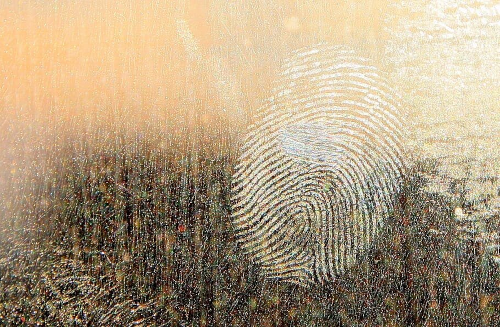 Trace of Truth
