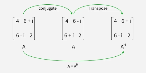 Adjoint