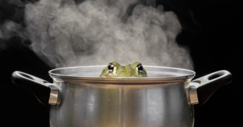 Boiled frog