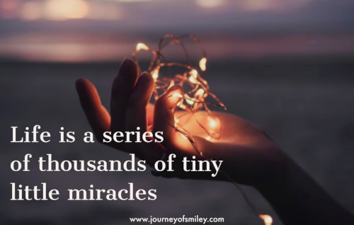 Life is Miracle
