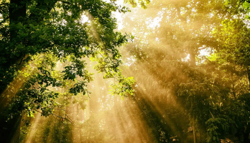 Light III